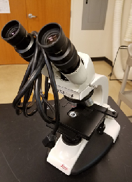 1: Visión general y el microscopio