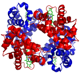 3: Detalles de la estructura de la proteína