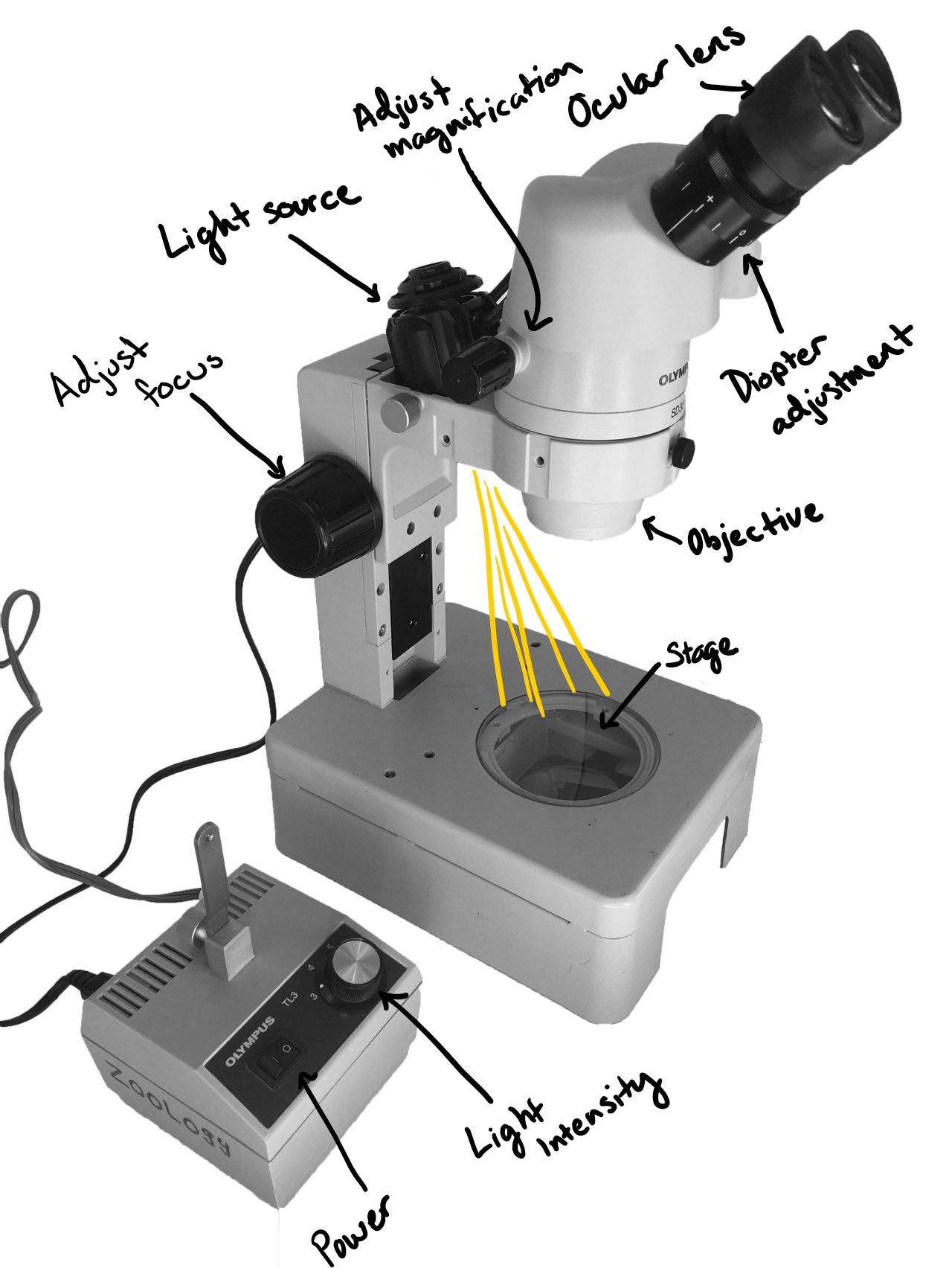 9: Introducción a la Microscopía