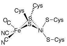 7: Ferrodoxinas, Hidrogenasas y Nitrogenasas - Proteínas Metal-Sulfuro