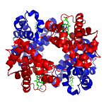 26: Aminoácidos, Péptidos, Proteínas y Ácidos nucleicos: Polímeros que contienen nitrógeno en la naturaleza