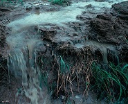 11: Historia climática de la cuenca del Clarno