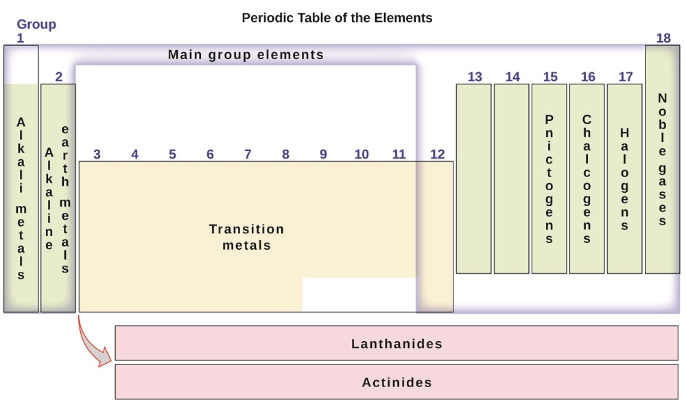 This diagram combines the groups and periods of the periodic table based on their similar properties. Group 1 contains the alkali metals, group 2 contains the earth alkaline metals, group 15 contains the pnictogens, group 16 contains the chalcogens, group 17 contains the halogens and group 18 contains the noble gases. The main group elements consist of groups 1, 2, and 12 through 18. Therefore, most of the transition metals, which are contained in groups 3 through 11, are not main group elements. The lanthanides and actinides are called out at the bottom of the periodic table.