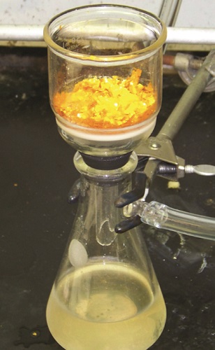 "A photo is shown of a flask and funnel used for filtration. The flask contains a slightly opaque liquid filtrate with a slight yellow tint. A funnel, which contains a bright yellow and orange material, sits atop the flask. The flask is held in place by a clamp and is connected to a vacuum line. The connection between the funnel and flask is sealed with a rubber bung or gasket."