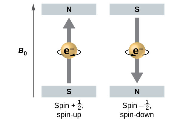CNX_Chem_06_03_spin.jpg