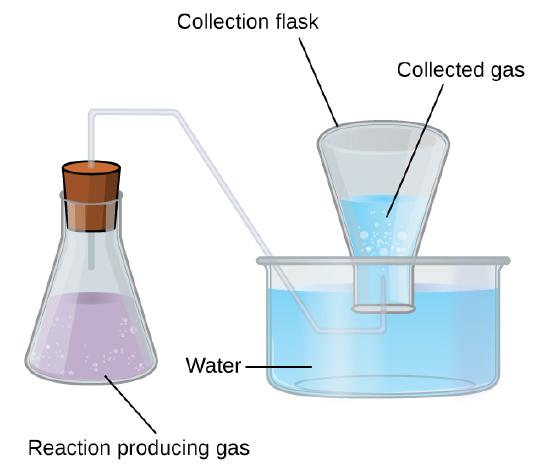 This figure shows a diagram of equipment used for collecting a gas over water. To the left is an Erlenmeyer flask. It is approximately two thirds full of a lavender colored liquid. Bubbles are evident in the liquid. The label “Reaction Producing Gas” appears below the flask. A line segment connects this label to the liquid in the flask. The flask has a stopper in it through which a single glass tube extends from the open region above the liquid in the flask up, through the stopper, to the right, then angles down into a pan that is nearly full of light blue water. This tube again extends right once it is well beneath the water’s surface. It then bends up into an inverted flask which is labeled “Collection Flask.” This collection flask is positioned with its mouth beneath the surface of the light blue water and appears approximately half full. Bubbles are evident in the water in the inverted flask. The open space above the water in the inverted flask is labeled “collected gas.”