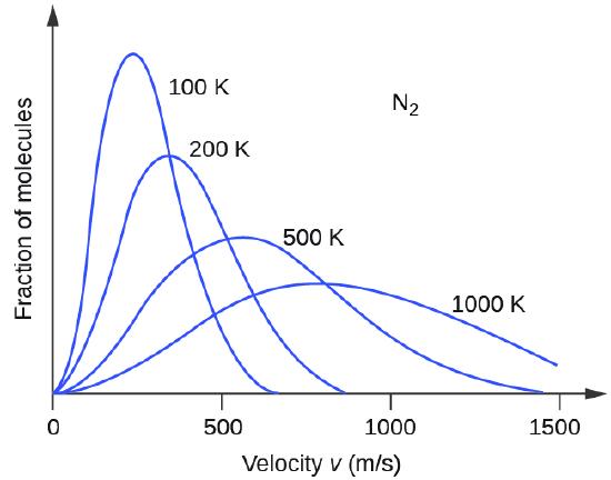 A graph with four positively or right-skewed curves of varying heights is shown. The horizontal axis is labeled, “Velocity v ( m divided by s ).” This axis is marked by increments of 500 beginning at 0 and extending up to 1500. The vertical axis is labeled, “Fraction of molecules.” The label, “N subscript 2,” appears in the open space in the upper right area of the graph. The tallest and narrowest of these curves is labeled, “100 K.” Its right end appears to touch the horizontal axis around 700 m per s. It is followed by a slightly wider curve which is labeled, “200 K,” that is about three quarters of the height of the initial curve. Its right end appears to touch the horizontal axis around 850 m per s. The third curve is significantly wider and only about half the height of the initial curve. It is labeled, “500 K.” Its right end appears to touch the horizontal axis around 1450 m per s. The final curve is only about one third the height of the initial curve. It is much wider than the others, so much so that its right end has not yet reached the horizontal axis. This curve is labeled, “1000 K.”