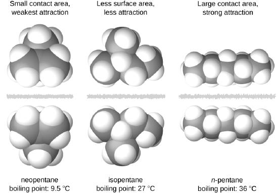 Three images of molecules are shown. The first shows a cluster of large, gray spheres each bonded together and to several smaller, white spheres. There is a gray, jagged line and then the mirror image of the first cluster of spheres is shown. Above these two clusters is the label, “Small contact area, weakest attraction,” and below is the label, “neopentane boiling point: 9.5 degrees C.” The second shows a chain of three gray spheres bonded by the middle sphere to a fourth gray sphere. Each gray sphere is bonded to several smaller, white spheres. There is a jagged, gray line and then the mirror image of the first chain appears. Above these two chains is the label, “Less surface area, less attraction,” and below is the label, “isopentane boiling point: 27 degrees C.” The third image shows a chain of five gray spheres bonded together and to several smaller, white spheres. There is a jagged gray line and then the mirror image of the first chain appears. Above these chains is the label, “Large contact area, strong attraction,” and below is the label, “n-pentane boiling point 36 degrees C.”