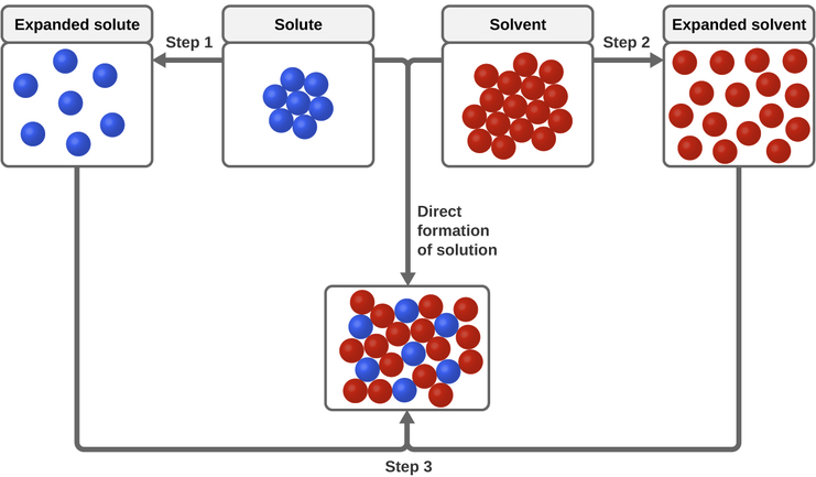 The top, central region of the figure shows solute particles as seven blue spheres and solvent particles as 16 red spheres in separate, labeled boxes. The particles in these boxes are touching. An arrow labeled “Step 1” points left of the solute box, and shows the blue spheres no longer touching in another box labeled “expanded solute.” An arrow labeled “Step 2” points right from the solvent box and shows the red spheres no longer touching in another box labeled “expanded solvent.” Arrows proceed from the bottom of the expanded solute and expanded solvent boxes and join at the bottom of the figure where a step 3 label is shown. The joined arrows point to a box just above in which the red and blue spheres are mixed together and touching. The solute and solvent boxes are joined by another arrow labeled “direct formation of solution” which points downward at the center of the figure. This arrow also points to the box containing mixed red and blue spheres near the bottom of the figure.