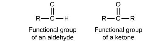 Five structures are shown. The first is a C atom with an R group bonded to the left and an H atom to the right. An O atom is double bonded above the C atom. This structure is labeled, “Functional group of an aldehyde.” The second structure shows a C atom with R groups bonded to the left and right. An O atom is double bonded above the C atom. This structure is labeled, “Functional group of a ketone.” The third structure looks exactly like the functional group of a ketone. The fourth structure is labeled C H subscript 3 C H O. It is also labeled, “An aldehyde,” and “ethanal (acetaldehyde).” This structure has a C atom to which 3 H atoms are bonded above, below, and to the left. In red to the right of this C atom, a C atom is attached which has an O atom double bonded above and an H atom bonded to the right. The O atom as two sets of electron dots. The fifth structure is labeled C H subscript 3 C O C H subscript 2 C H subscript 3. It is also labeled, “A ketone,” and “butanone.” This structure has a C atom to which 3 H atoms are bonded above, below, and to the left. To the right of this in red is a C atom to which an O atom is double bonded above. The O atom has two sets of electron dots. Attached to the right of this red C atom in black is a two carbon atom chain with H atoms attached above, below, and to the right.