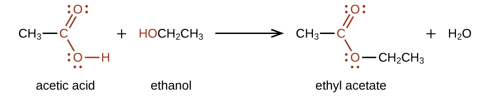 A chemical reaction is shown. On the left, a C H subscript 3 group bonded to a red C atom. The C atom forms a double bond with an O atom which is also in red. The C atom is also bonded to an O atom which is bonded to an H atom, also in red. A plus sign is shown, which is followed by H O C H subscript 2 C H subscript 3. The H O group is in red. Following a reaction arrow, a C H subscript 3 group is shown which is bonded to a red C atom with a double bonded O atom and a single bonded O. To the right of this single bonded O atom, a C H subscript 2 C H subscript 3 group is attached and shown in black. This structure is followed by a plus sign and H subscript 2 O. The O atoms in the first structure on the left and the structure following the reaction arrow have two pairs of electron dots.