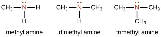 CNX_Chem_20_04_amines_img.jpg
