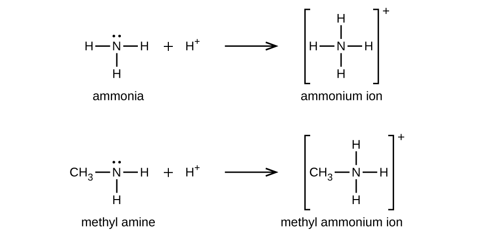 CNX_Chem_20_04_ammonia_img.jpg