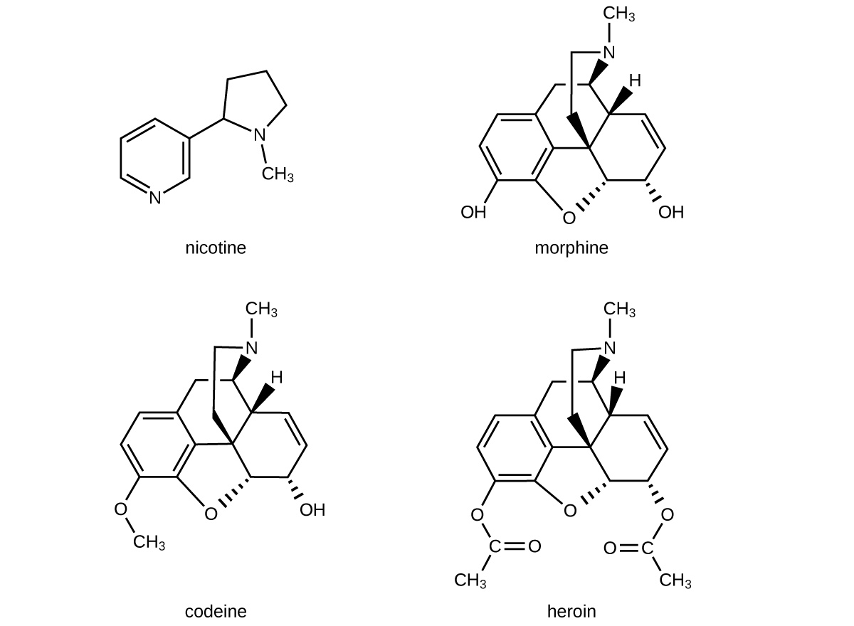 CNX_Chem_20_04_alkaloids_img.jpg