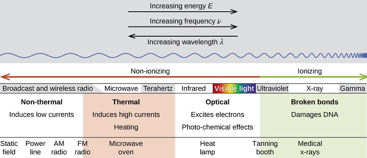 <div data-mt-source="1"><img alt="A diagram has two vertical sections. The upper section has two right-facing, horizontal arrows labeled “Increasing energy, E” and “Increasing frequency, rho symbol,” respectively. A left-facing, horizontal arrow lies below the first two and is labeled “Increasing wavelength, lambda symbol.” Beginning on the left side of the diagram, a horizontal, sinusoidal line begins and moves across the diagram to the far right, becoming increasingly more compact. The lower section of the diagram has a double ended, horizontal arrow along its top, with the left end drawn in red and labeled “Non-ionizing” and the right end drawn in green and labeled “Ionizing.” Below this is a set of terms, read from left to right as “Broadcast and wireless radio,” “Microwave,” “Terahertz,” “Infrared,” “Visible light,” “Ultraviolet,” “X dash ray,” and “Gamma.” Four columns lie below this row of terms. The first contains the phrases “Non-thermal” and “Induces low currents” while the second reads “Thermal” and “Induces high currents, Heating.” The third contains the phrases “Optical” and “Excites electrons, Photo, dash, chemical effects” while the fourth reads “Broken bonds” and “Damages D N A.” A series of terms lie below these columns are read, from left to right, “Static field,” “Power line,” “A M radio,” “F M radio,” “Microwave oven,” “Heat lamp,” “Tanning booth” and “Medical x, dash rays.”